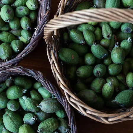 Casa A Curiscada * Burres