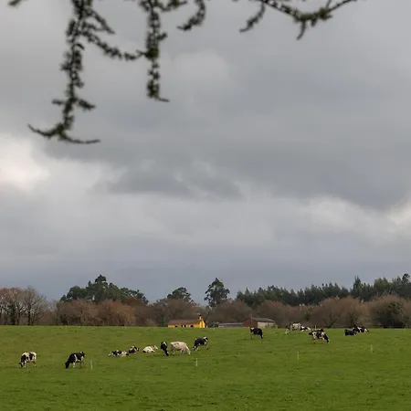 Casa A Curiscada Burres