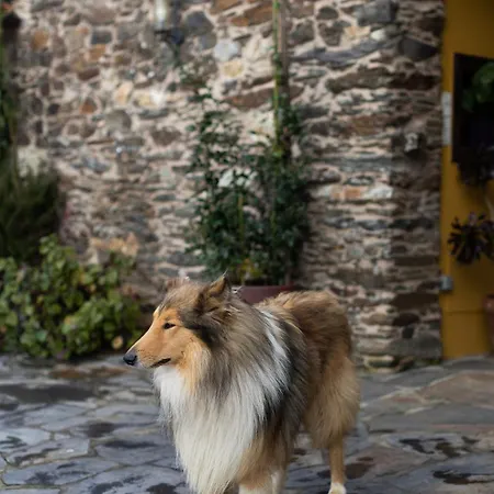 Casa A Curiscada * Burres