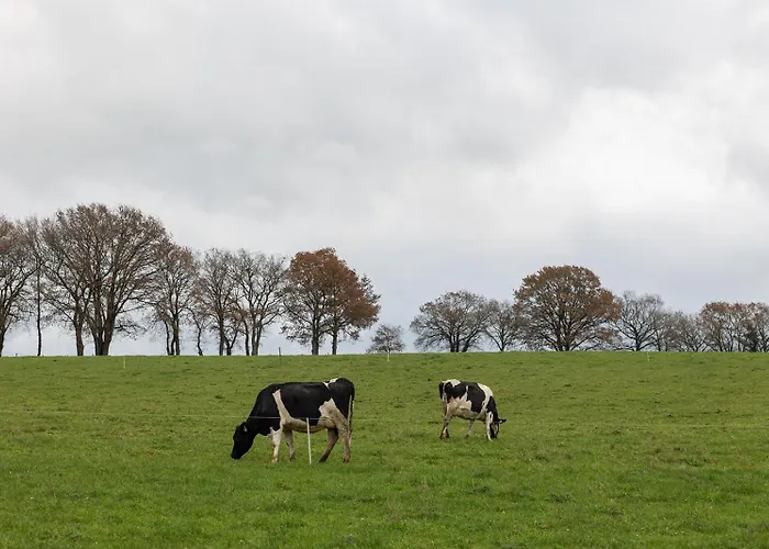 ヴィラ Casa A Curiscada Burres