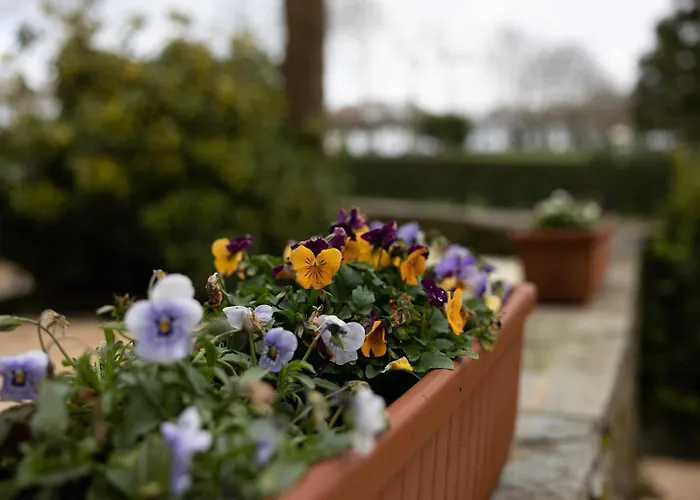 ヴィラ Casa A Curiscada Burres