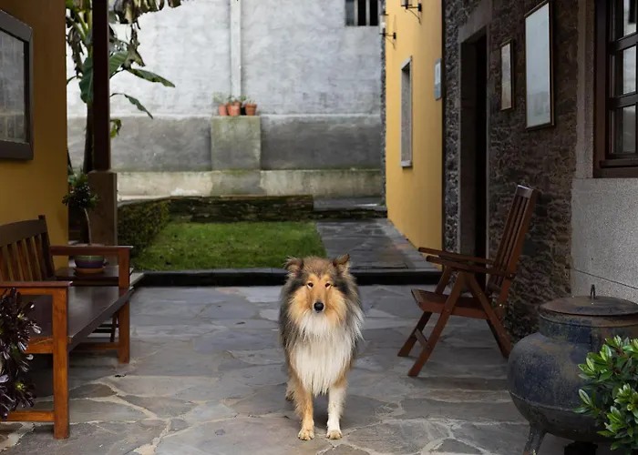 Casa A Curiscada Burres