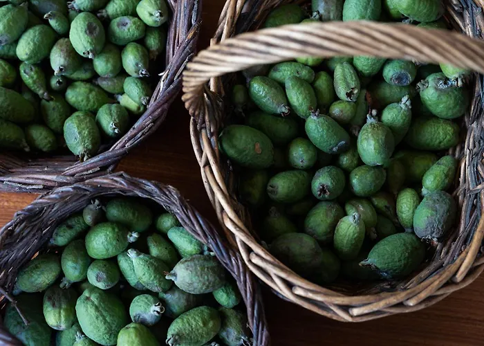 Casa A Curiscada * Burres