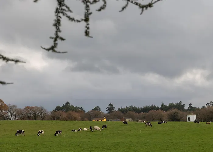Casa A Curiscada Burres