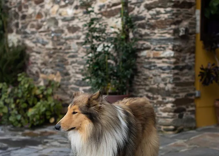 Casa A Curiscada * Burres