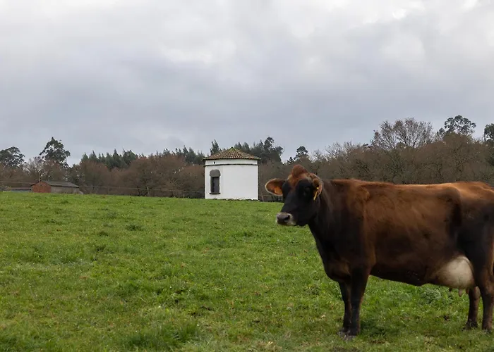 ヴィラ Casa A Curiscada Burres